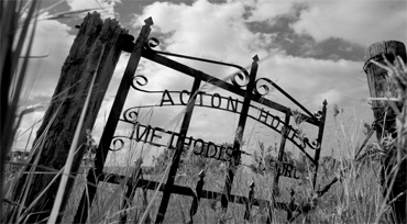 Portfolio Image